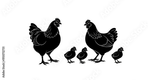Hens and Chicks Silhouette Illustration.