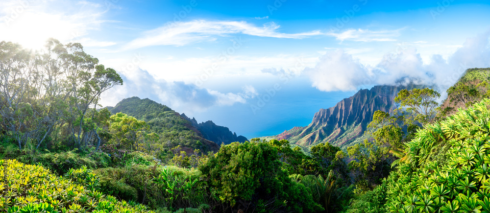 Naklejka premium Amazing panoramic view of Kalalau Valley and beautiful Na Pali coast, Kauai island, Hawaii