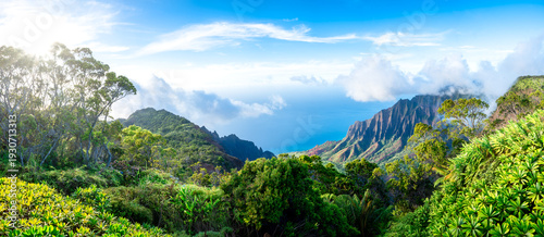 Amazing panoramic view of Kalalau Valley and beautiful Na Pali coast, Kauai island, Hawaii