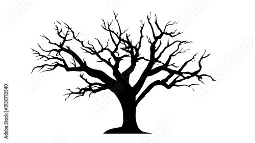 A stark silhouette of a deciduous tree with a thick trunk and many reaching, skeletal branches