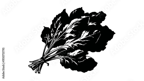 Silhouetted bunch of leafy green vegetables with detailed veins, tied at base