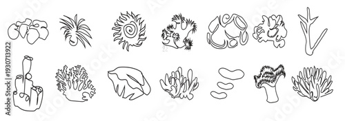  sea under water elements line art drawing style the