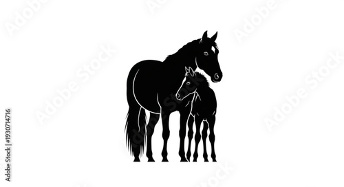 Horse with Foal Standing Together.