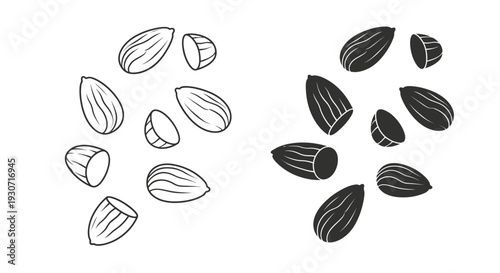 Almond illustrations shown in both light and dark silhouette