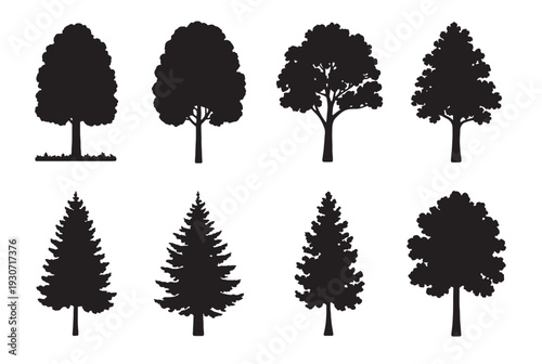  set of trees design