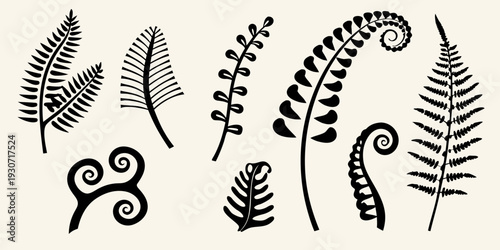 Black silhouettes of various fern fronds and spiral botanical shapes