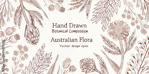 Detailed hand drawn botanical illustration of australian flora and wildflowers