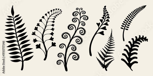 Stylized botanical illustrations of various fern and leaf shapes