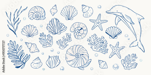 Blue line art illustration of seashells coral starfish and a dolphin