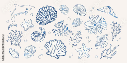Hand drawn marine life and botanical elements in a blue toned sketch