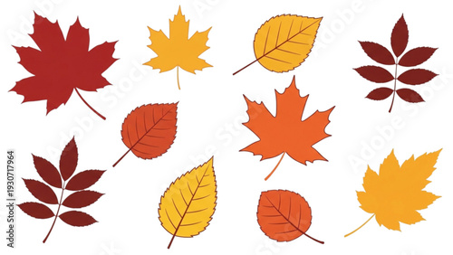 Vibrant autumn leaves scattered across a clean white background, viewed from directly above, showcasing a variety of shapes and colors.