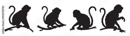 monkey silhouettes set