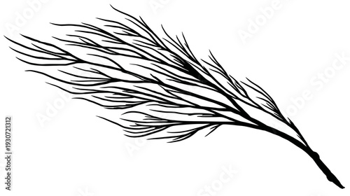 Stylized black illustration of a branch with many thin, elongated twigs against a white background