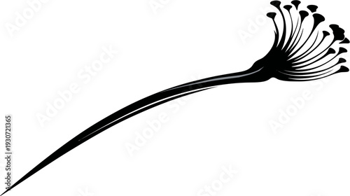 A stark, black and white abstract depiction of a flowering stem with rounded buds