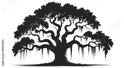 Live Oak Tree Silhouette, Southern Oak with Hanging Spanish Moss, Isolated on White, Nature Illustration, Landscape Design, Botanical Artwork Vector