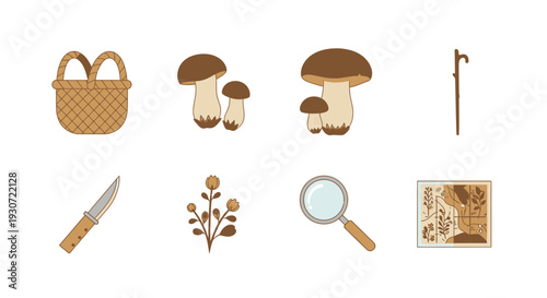 Collection of 6 flat vector icons representing foraging for food for nature survival concepts