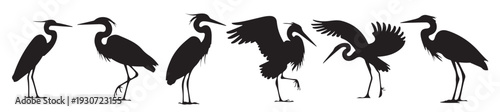 black heron silhouettes