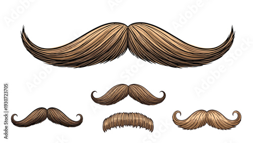 Collection of various detailed brown moustache styles for men including handlebar and chevron types isolated on white.