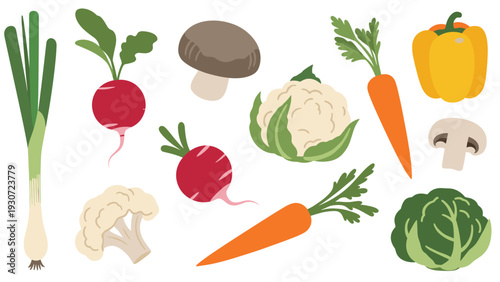 Assorted fresh vegetables collection including carrots, radish, cauliflower, bell pepper, mushrooms, and lettuce on white.