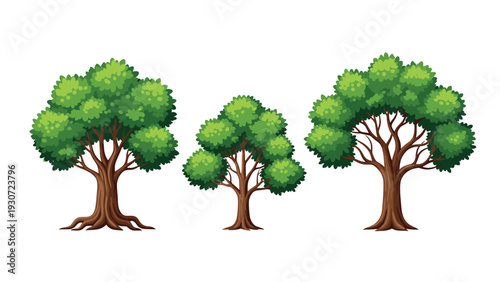 Group of three lush green deciduous trees with thick summer foliage and textured brown trunks on a white background.