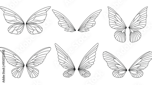 Set of six different pairs of delicate butterfly wings is illustrated in a fine black line art style on a white background.