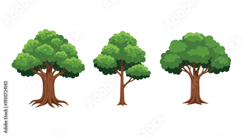 Set of three different lush green deciduous trees with brown trunks shown in a simple flat vector illustration.