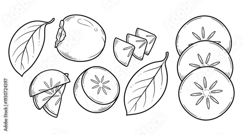 Persimmon fruit slices and leaves hand drawn sketch illustration isolated on transparent background