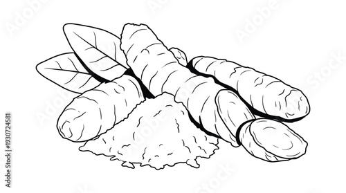 Turmeric root and powder isolated on transparent background. Healthy spice and herb.