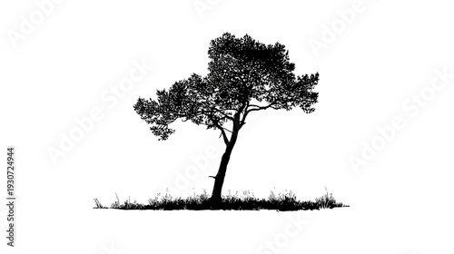 A stark, black silhouette of a tree with full foliage, set against a pristine white background