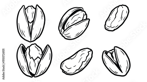 Pistachio nuts set hand drawn engraving style organic snack collection for healthy eating