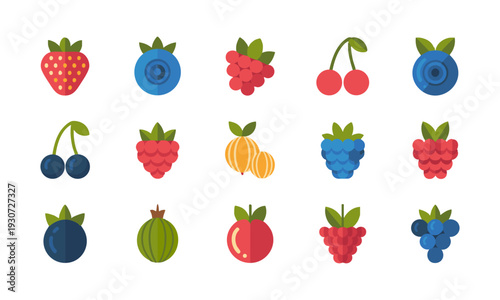 Fresh summer berries colorful icon set isolated on white vector set illustration, easily editable.