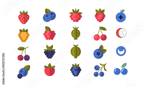 Botanical berry fruit icons isolated on white background vector set illustration, easily editable.