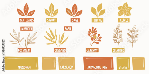 An illustrated collection of various herbs and spices with labeled names