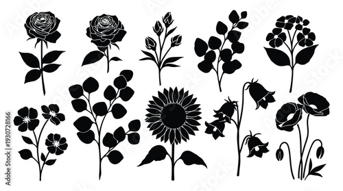 Collection of flower and plant silhouettes. decorative floral elements vector illustration
