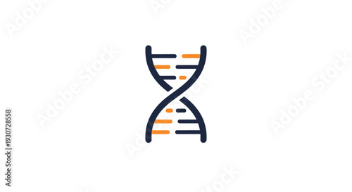 DNA Double Helix Structure Model.