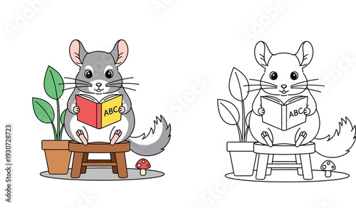 Cute cartoon chinchilla reading ABC book on a stool. Includes colorful version and black and white line art coloring page outline vector illustration.