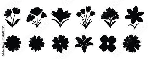 Collection of black floral silhouettes on white background