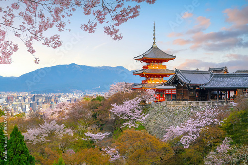 Photos Sunset View of Kiyomizu dera Temple Pagoda Framed by Cherry Blossoms in Kyoto
