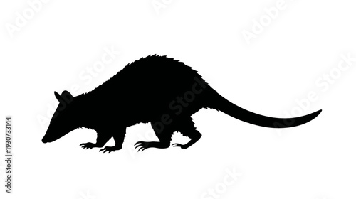 Black silhouette of an anteater-like animal with a long tail on a white background