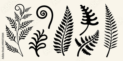 Black botanical illustrations of various fern and leaf designs
