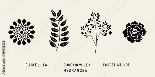Botanical illustration of four different flower silhouettes in black