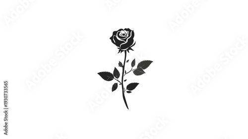 A simple, elegant black rose with stem and leaves, against a stark white backdrop