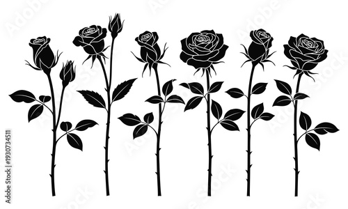 Black and white illustration of five roses with leaves and stems