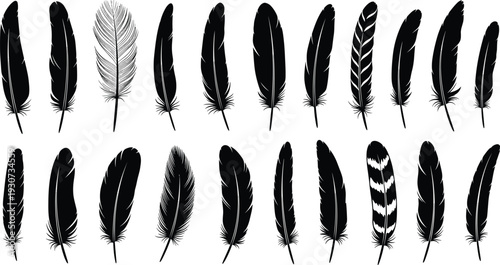 Black Feather Silhouette Collection with Hand Drawn Bird Plumage Elements for Boho Tribal Decoration Tattoo Design and Natural Theme Illustration.
