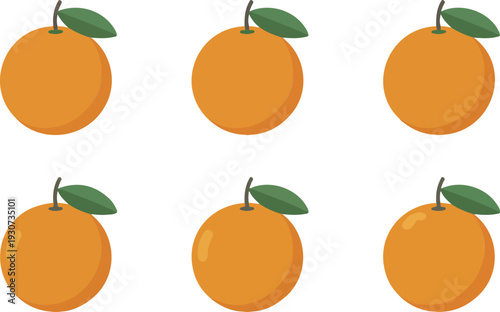 Fresh Orange Fruit Illustration Set with Whole Citrus Oranges and Green Leaves for Nutrition and Packaging Design