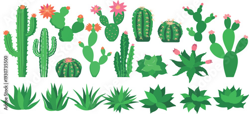 Cactus and Succulent Plants Vector Illustration Set with Desert Species for Botanical and Eco Design Projects