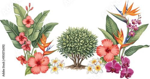 Tropical plants with pink and orange flowers and green leaves on white background