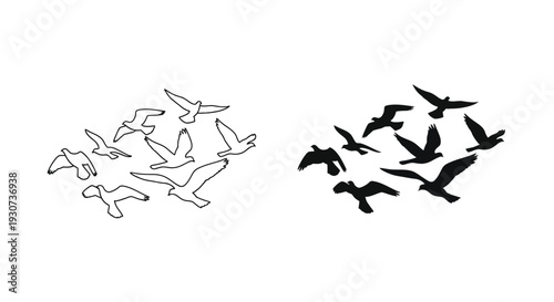 A flock of birds in flight depicted with contrasting outlines silhouette