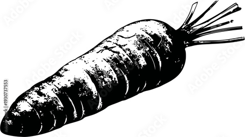 A black and white illustration of a carrot with its green top on a white background