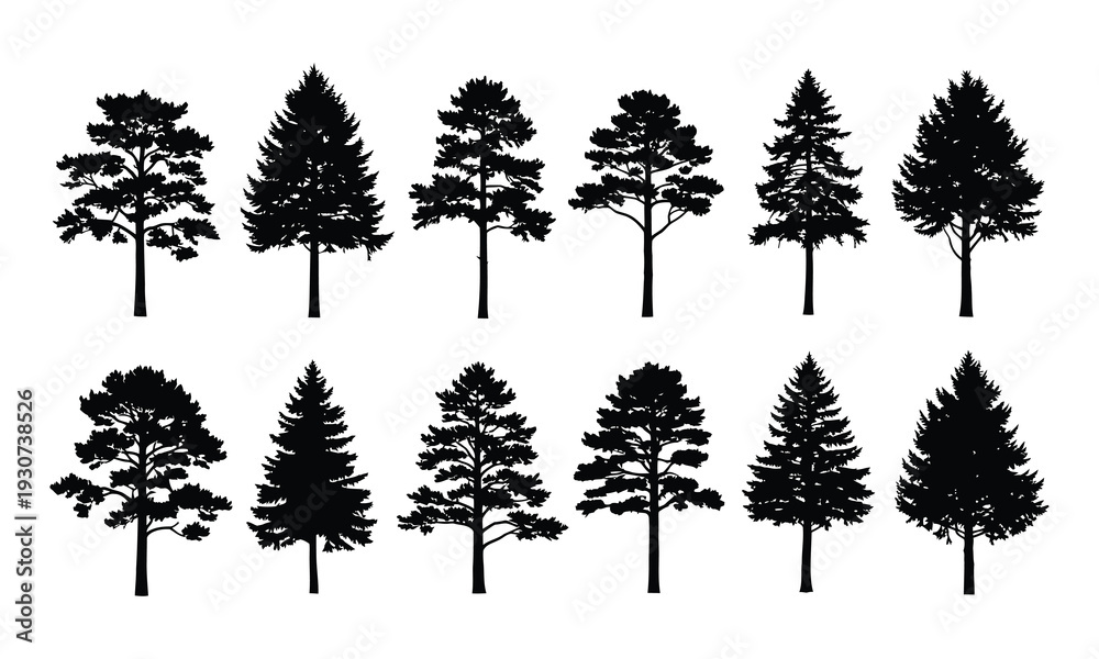 Fototapeta premium Collection of various pine tree silhouettes on white background